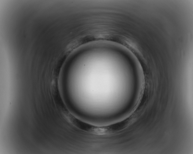 X0000086780265200704201830