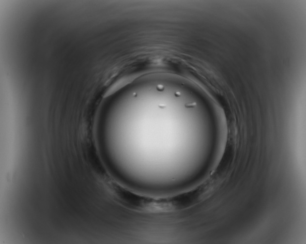 X0000086780270200704201830