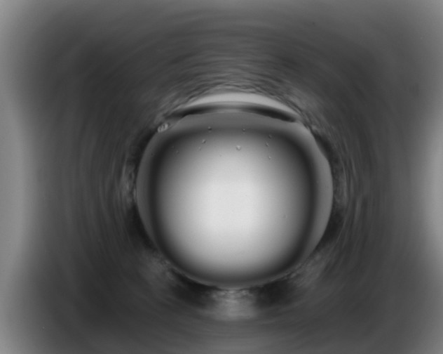 X0000086780273200704201830