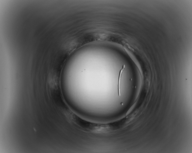 X0000086780274200704201830