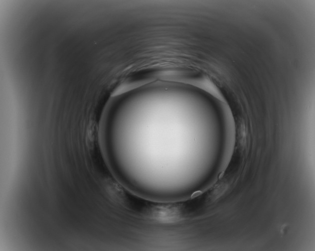 X0000086780275200704201830