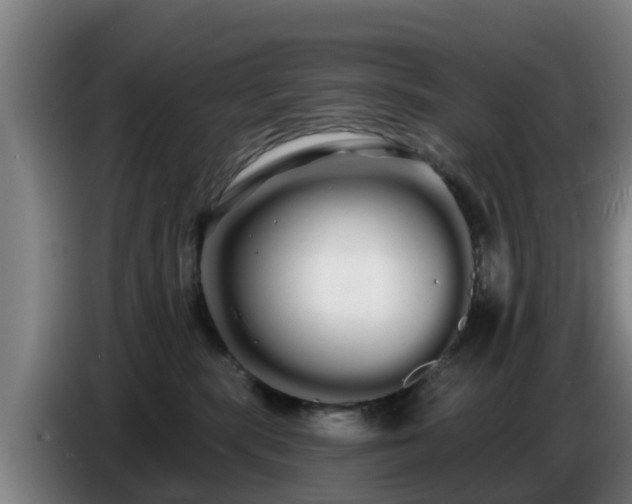 X0000086780283200704201830