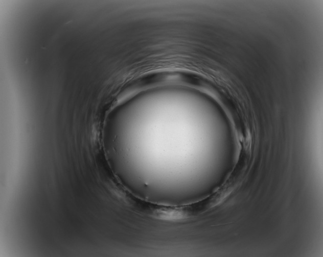 X0000086780284200704201830