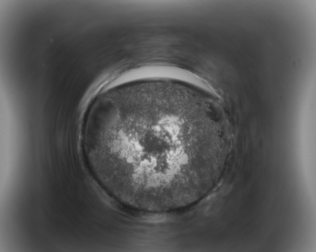 X0000086780293200704201829