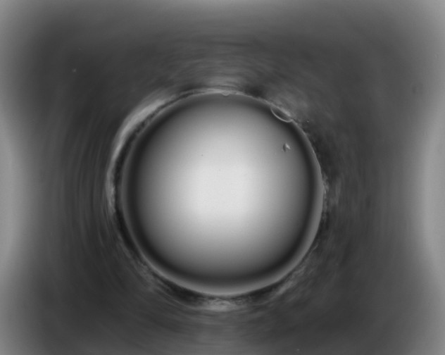 X0000086780294200704201829