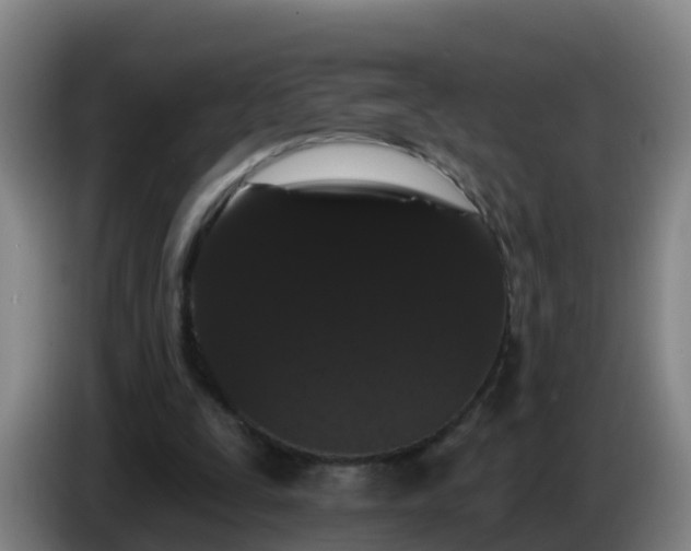 X0000086780295200704201829