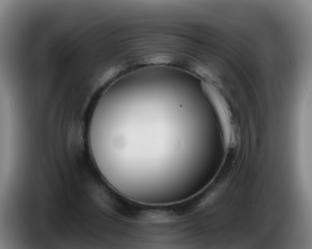 X0000086780300200704201829