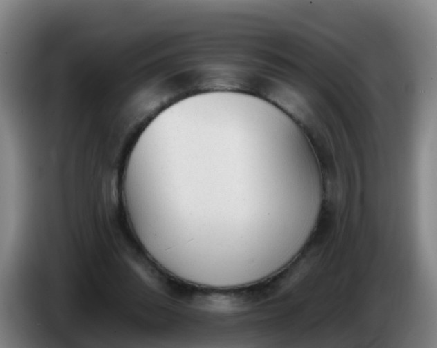 X0000086780302200704201829