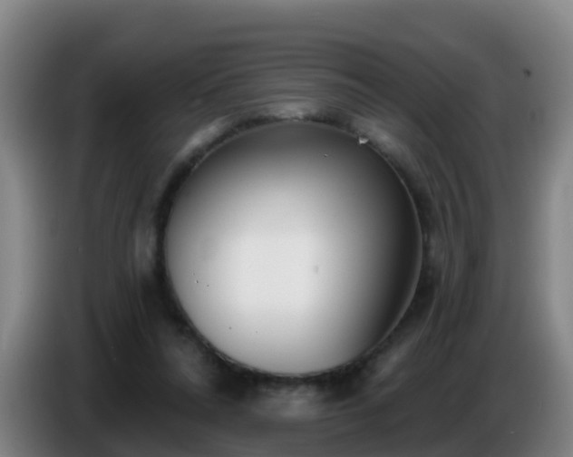 X0000086780304200704201829