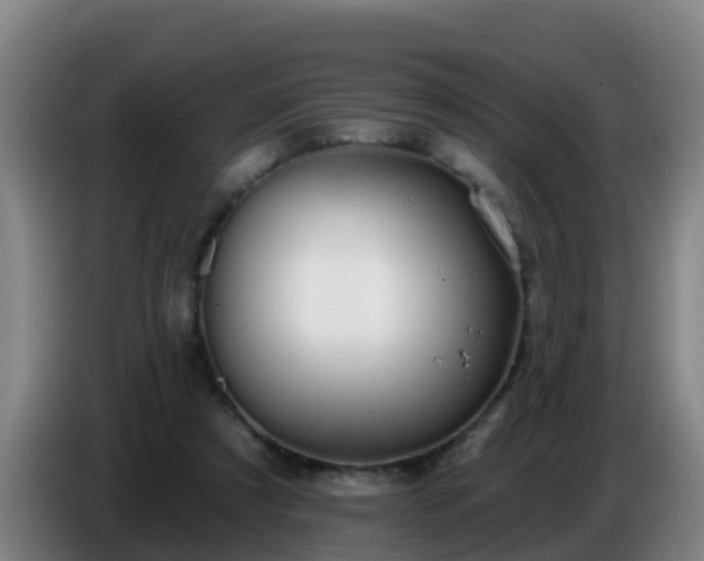 X0000086780305200704201829