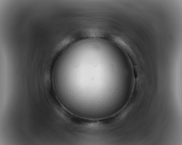 X0000086780306200704201829