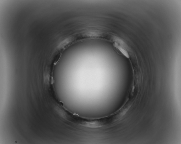 X0000086780309200704201829