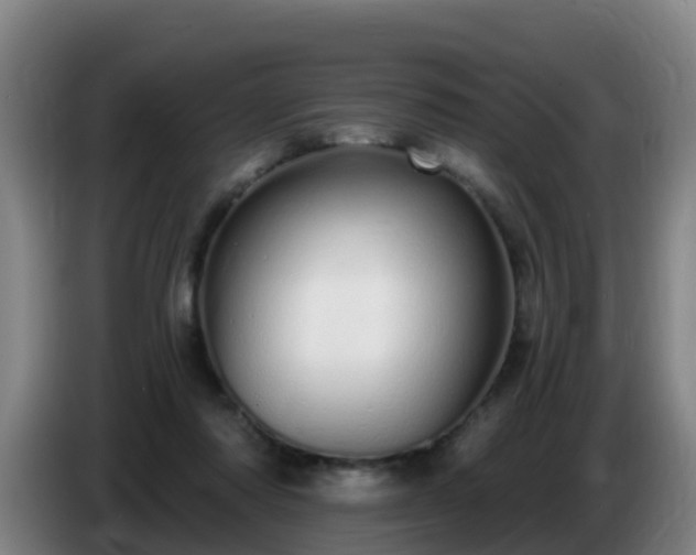 X0000086780310200704201829