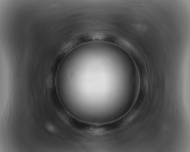 X0000086780311200704201829