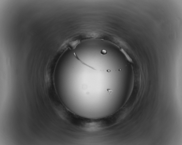 X0000086780312200704201829