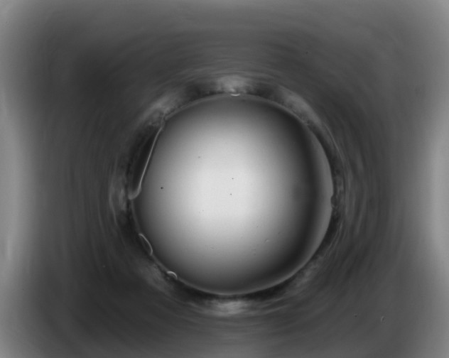 X0000086780313200704201829