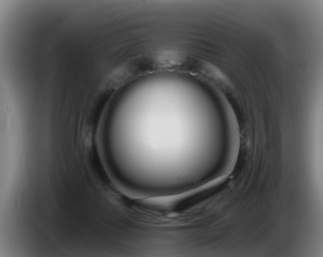 X0000086780315200704201829