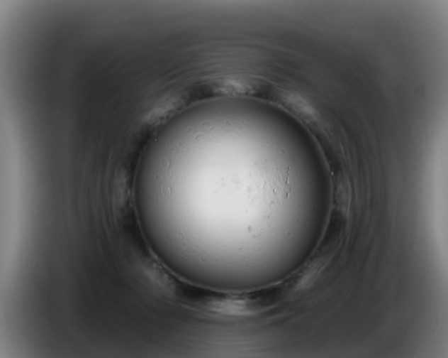 X0000086780318200704201829