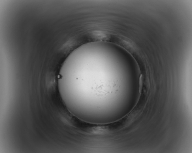 X0000086780320200704201829