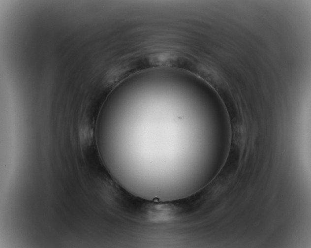 X0000086780324200704201829