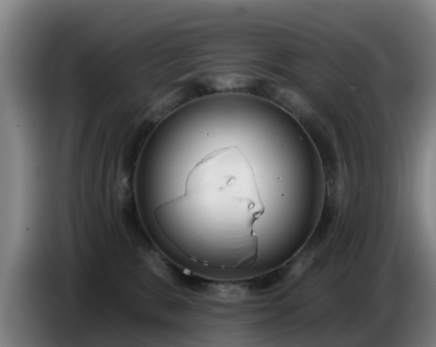 X0000086780327200704201829