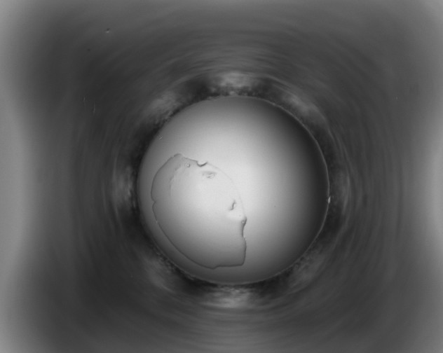 X0000086780328200704201829