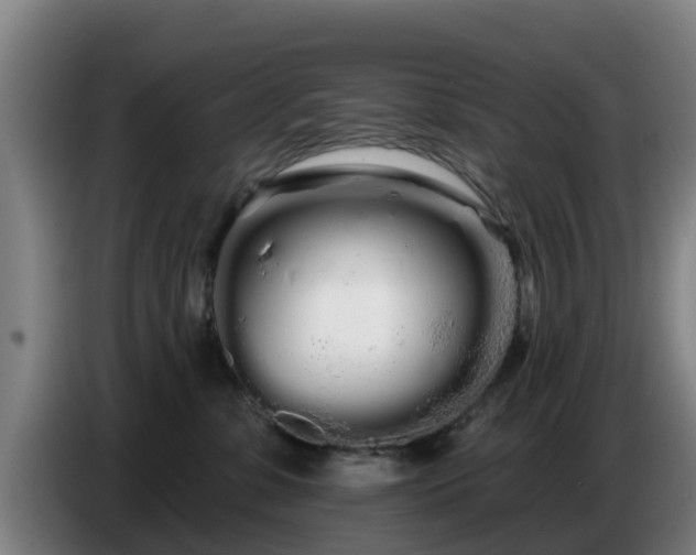 X0000086780331200704201829