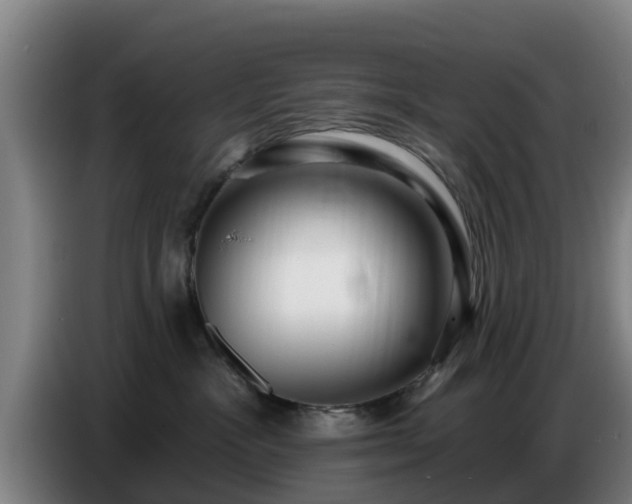 X0000086780333200704201829