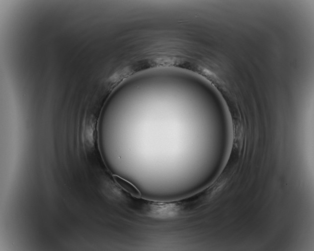 X0000086780334200704201829