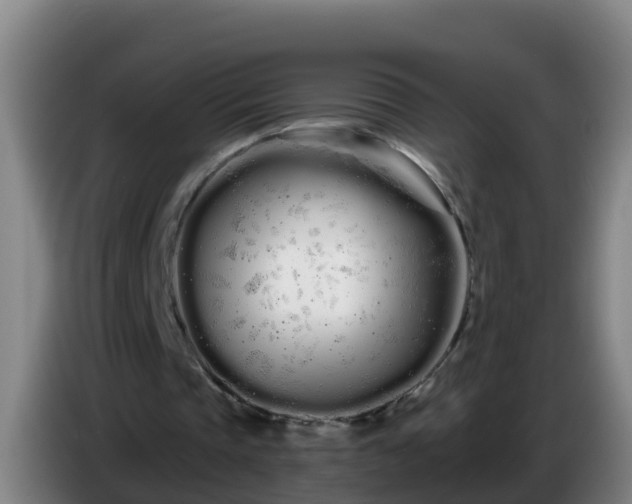 X0000086780337200704201828