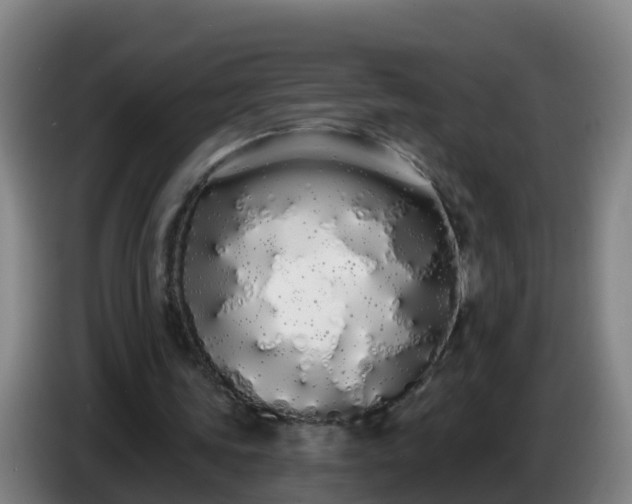 X0000086780339200704201828