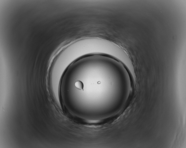 X0000086780340200704201828