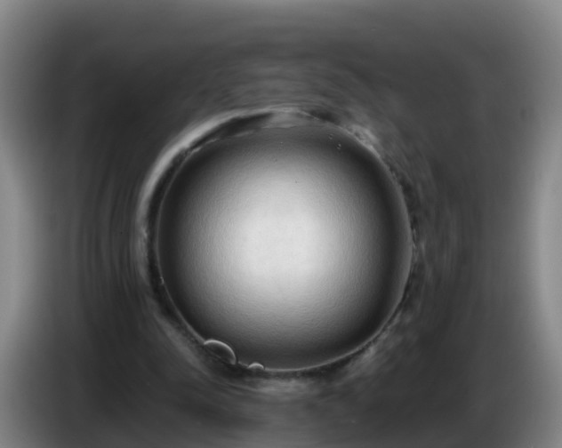 X0000086780342200704201828