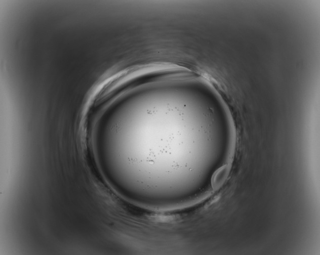 X0000086780343200704201828