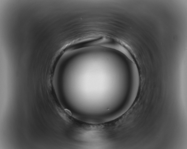 X0000086780345200704201828