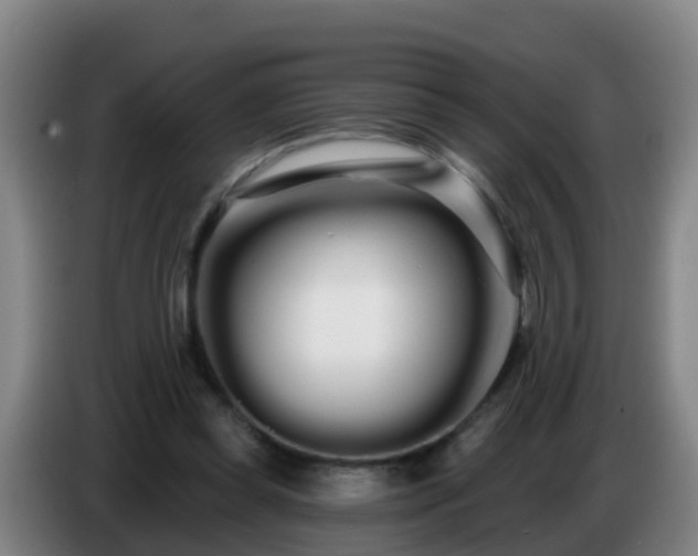 X0000086780349200704201828