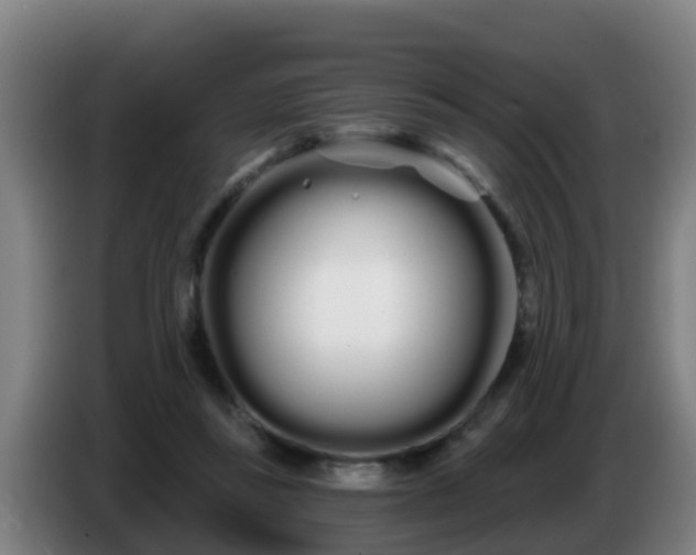 X0000086780355200704201828