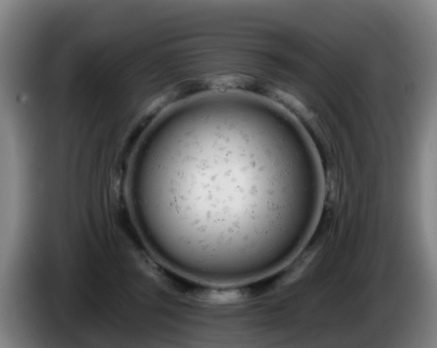 X0000086780357200704201828