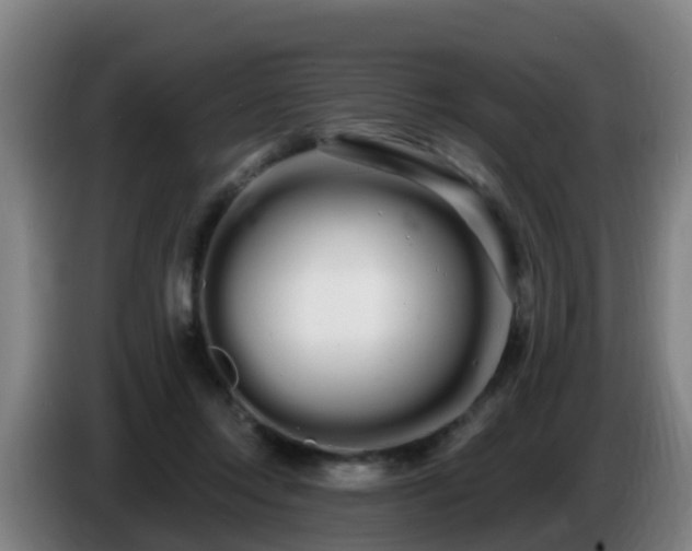 X0000086780358200704201828