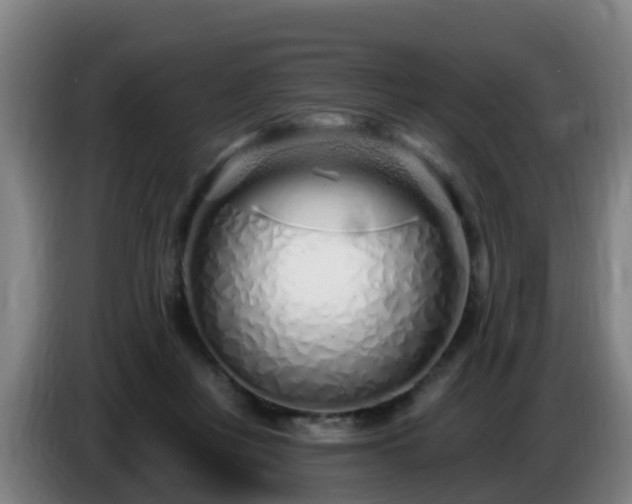 X0000086780359200704201828