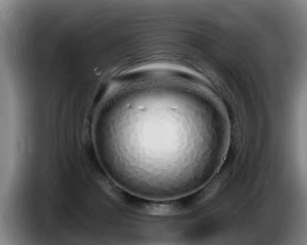 X0000086780361200704201828