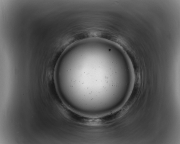 X0000086780363200704201829