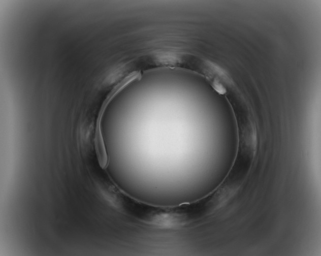 X0000086780364200704201829