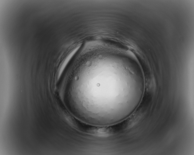 X0000086780365200704201829