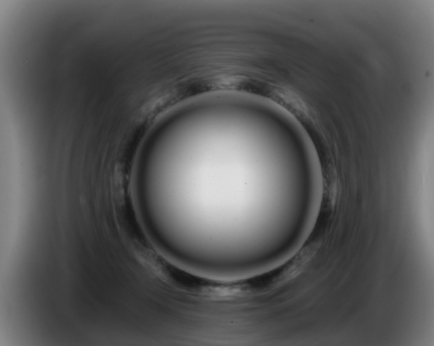 X0000086780366200704201829