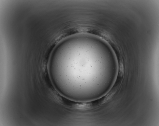 X0000086780367200704201829