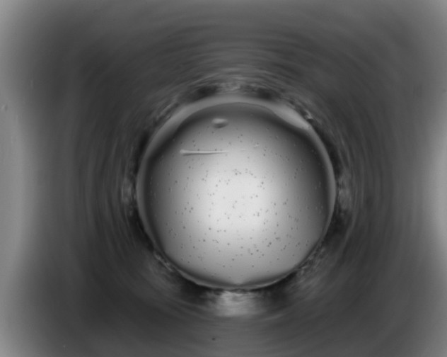 X0000086780371200704201829