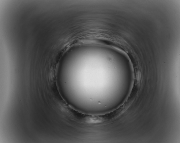 X0000086780372200704201829