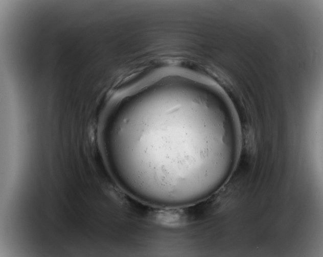 X0000086780373200704201829