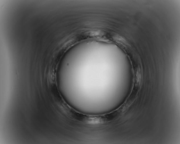 X0000086780376200704201829